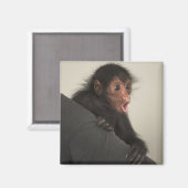 Aimant Singe araignée à face rouge Ateles paniscus) (Recto/Verso)