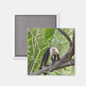 Aimant Singe dans la jungle (Recto/Verso)