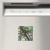 Aimant Singe écureuil à Manuel Antonio NP - Costa Rica (In Situ (Lave-vaisselle))