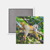 Aimant Singe écureuil à Manuel Antonio NP - Costa Rica (Recto/Verso)