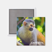 Aimant Singe écureuil à Manuel Antonio NP - Costa Rica (Recto/Verso)