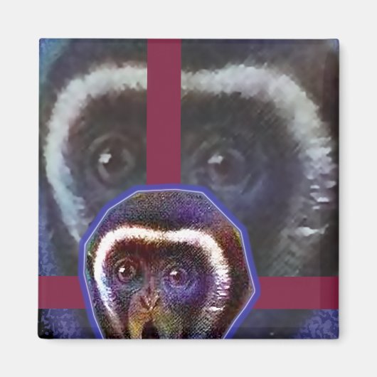 Aimant Singe effrayé (Devant)