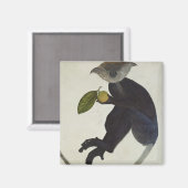 Aimant Singe noir (Recto/Verso)