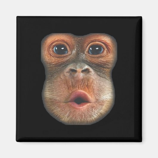 Aimant Singe qui gonfle le visage (Devant)