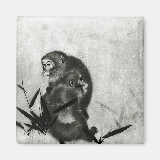 Aimant Singes (Devant)