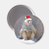 Aimant Singes et babouins de Noël (Recto/Verso)