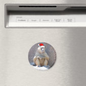 Aimant Singes et babouins de Noël (In Situ (Lave-vaisselle))