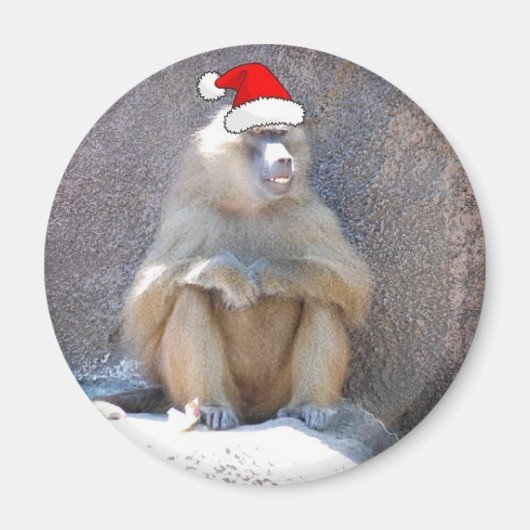 Aimant Singes et babouins de Noël (Devant)