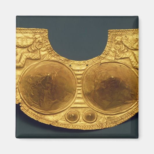 Aimant Sinu (Devant)