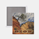 Aimant Sion Magnate (Recto/Verso)