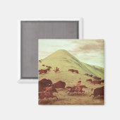 Aimant Sioux Indians hunting buffalo, 1835 (Recto/Verso)