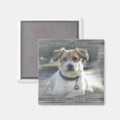 Aimant Sir Henry (Recto/Verso)