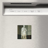 Aimant Sir Isaac Newton (In Situ (Lave-vaisselle))