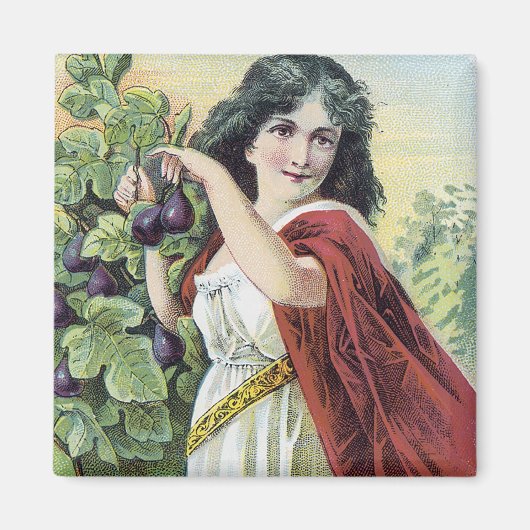 Aimant Sirop de Figs Natures agréable Laxatif (Devant)