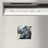 Aimant Sitting Gorilla (In Situ (Lave-vaisselle))