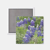 Aimant SJefferson Texas Bluebonnets Series #2 (Recto/Verso)