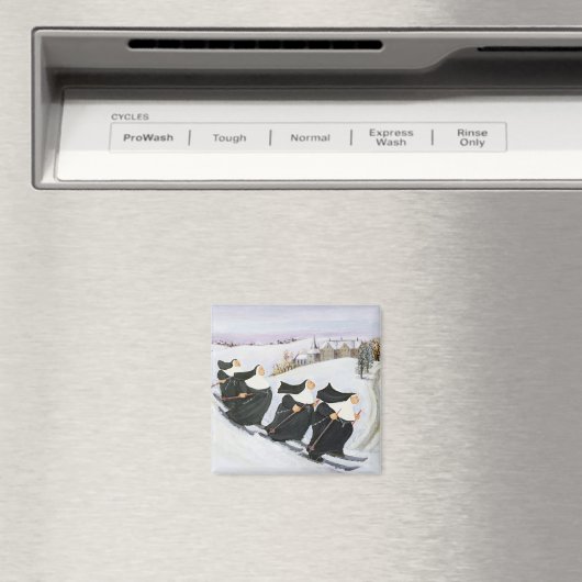 Aimant Ski (In Situ (Lave-vaisselle))