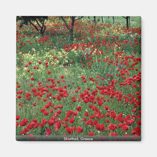 Aimant Skiathos, Grèce (Devant)