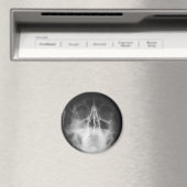 Aimant Skully Top Fun (In Situ (Lave-vaisselle))