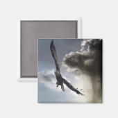 Aimant "Sky Warrior" Cadeaux d'aigle à tête blanche (Recto/Verso)