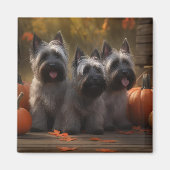 Aimant Skye Terrier Chiot Automne Citrouille délice (Devant)