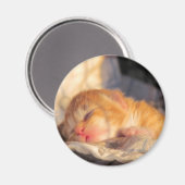 Aimant Sleep Tight Sweet Kitty (Recto/Verso)