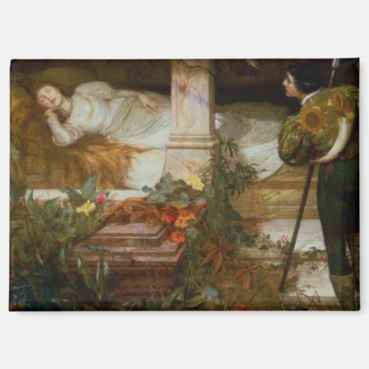 Aimant Sleeping Beauty (Pretty Princess Meets Her Prince) (Recto)