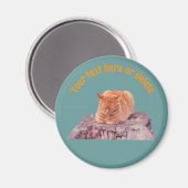 Aimant Sleeping Orange Tabby Cat Personalized (Recto/Verso)