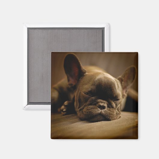 Aimant Sleepy French Bulldog (Recto/Verso)