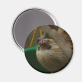 Aimant Sloth (Recto/Verso)