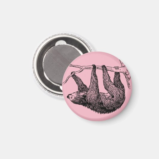 Aimant Sloth (Recto/Verso)