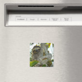 Aimant Sloth (In Situ (Lave-vaisselle))