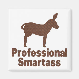 Aimant Smartass professionnel