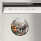 Aimant Smell the Flowers (In Situ (Lave-vaisselle))