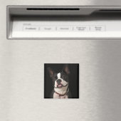 Aimant Smiling Boston terrier with collar (In Situ (Lave-vaisselle))