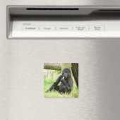 Aimant Snacking Baby Gorilla (In Situ (Lave-vaisselle))