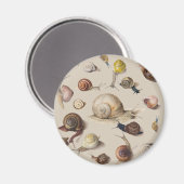 Aimant Snail Slug Garden Pet Gastropod (Recto/Verso)