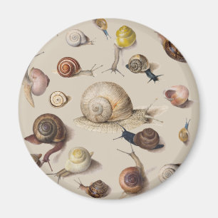 Aimant Snail Slug Garden Pet Gastropod