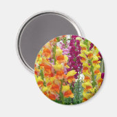 Aimant Snapdragons colorés floraux (Recto/Verso)