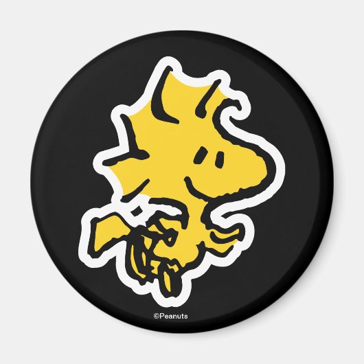 Aimant Snoopy & Woodstock Fun & Flowers (Devant)