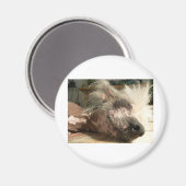 Aimant snooser (Recto/Verso)