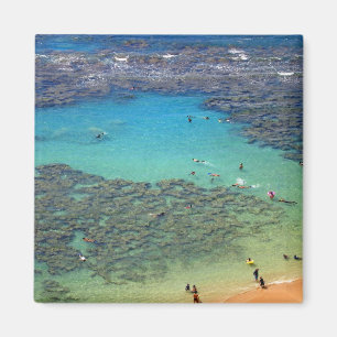 Aimant Snorklers à la baie de Hanauma, Oahu, Hawaï