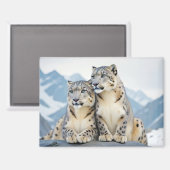 Aimant Snow Leopard Animal Nature Animale Affection Faune (Recto/Verso)