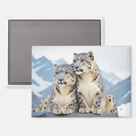 Aimant Snow Leopard Animal Nature Animale Affection Faune (Recto/Verso)