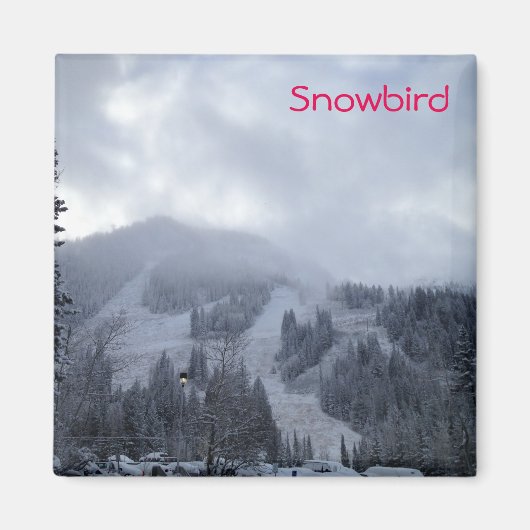 Aimant Snowbird (Devant)