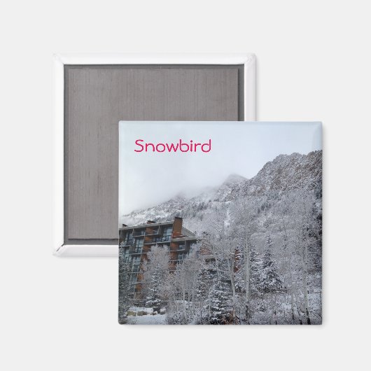 Aimant Snowbird (Recto/Verso)