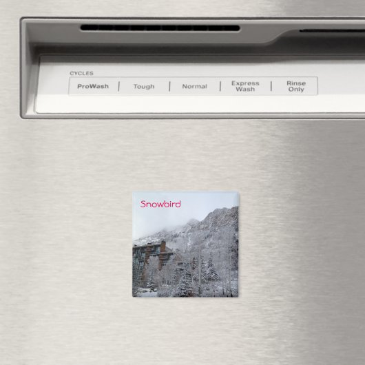 Aimant Snowbird (In Situ (Lave-vaisselle))