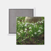 Aimant Snowdrops (Recto/Verso)