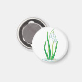 Aimant Snowdrops (Galanthus nivalis) (Recto/Verso)