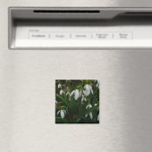 Aimant Snowdrops I (In Situ (Lave-vaisselle))